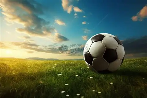 九游体育(JIUYOU)官方网站-官网入口