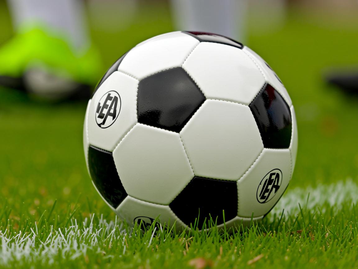 九游娱乐官网-博卡主场环境改造推动商业发展，博卡公司地址  第2张